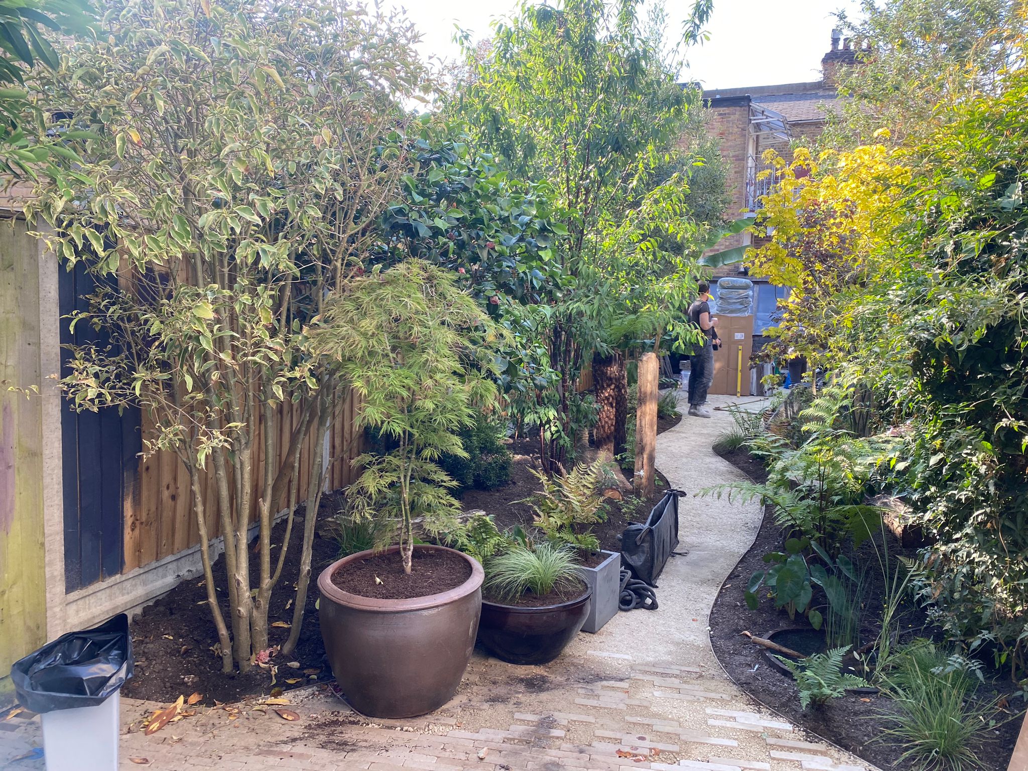 Louise in Tulse Hill